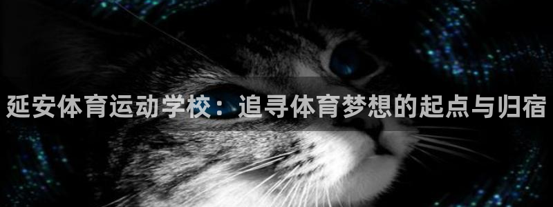 欧亿体育官方正版app集团logo：延安体育运动学校