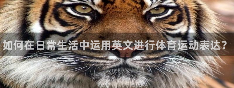 欧亿体育官方正版app娱乐40996：如何在日常生活