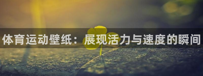 德国欧亿体育官方正版app集团：体育运动壁纸：展现活
