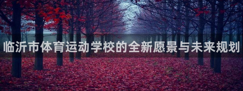 oety欧亿体育官网下载平台注册要钱吗：临沂市体育运