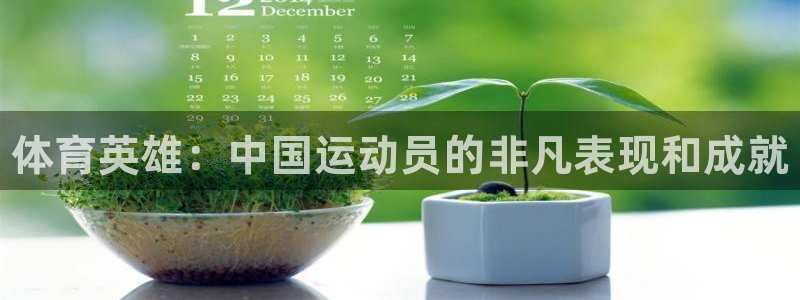 欧亿体育官方正版app娱乐下载：体育英雄：中国运动员