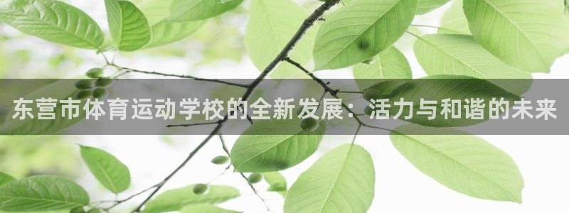 欧亿体育官方正版app集团官网首页：东营市体育运动学