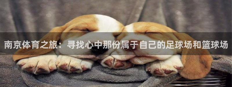 oety欧亿体育官网下载招商电话：南京体育之旅：寻找心中那份