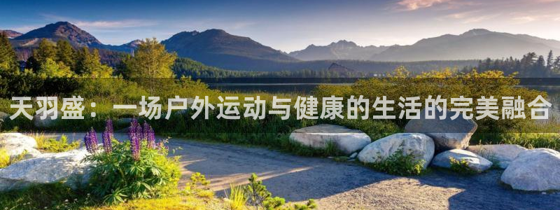 oety欧亿体育官网下载平台是正规平台吗知乎：天羽盛：一场户