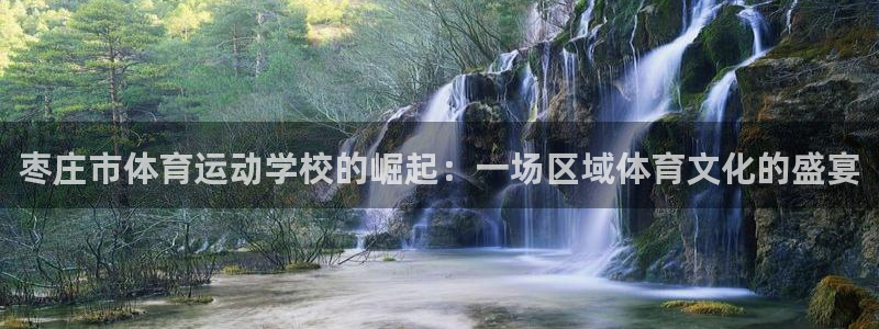 欧亿体育官方正版app娱乐代理怎么样：枣庄市体育运动学校的崛