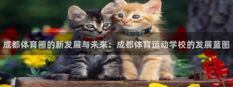 oety欧亿体育官网下载招商电话号码查询：成都体育圈