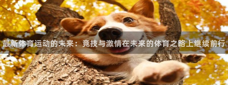 oety欧亿体育官网下载招商电话地址：最新体育运动的未来：竞