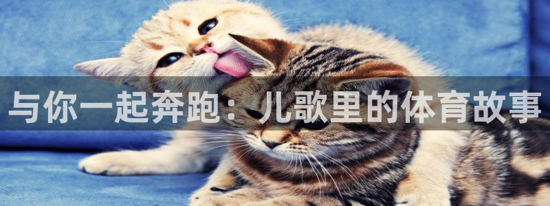 欧亿体育官方正版app神州