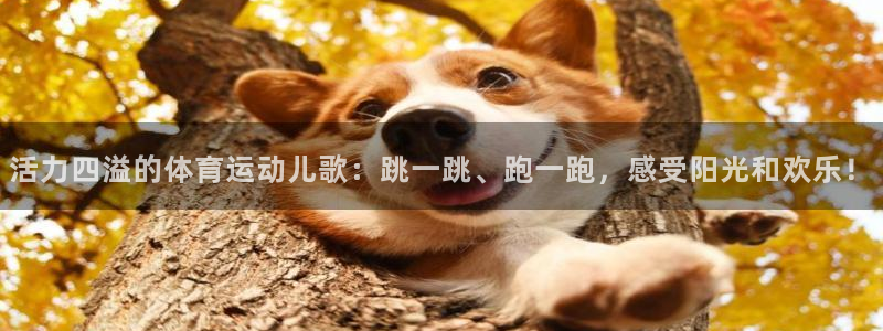oety欧亿体育官网下载官方客服电话：活力四溢的体育运动儿歌