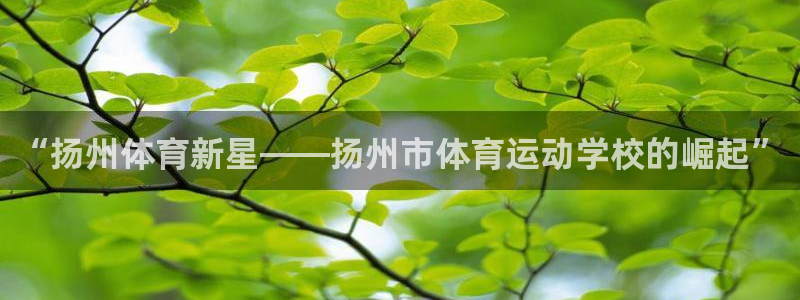 海南oety欧亿体育官网下载