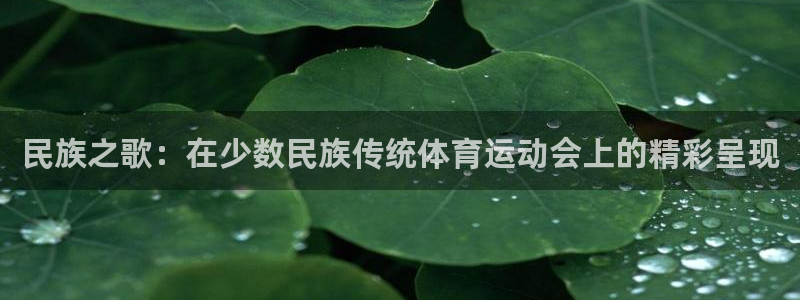 oety欧亿体育官网下载招商电话是多少啊