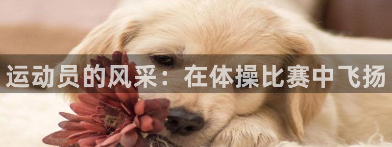 oety欧亿体育官网下载招商电话号码查询是多少：运动员的风采