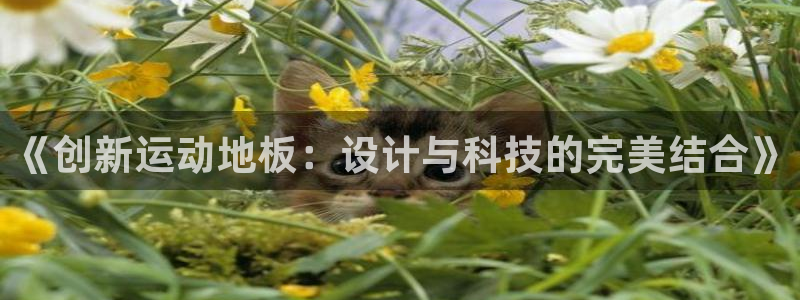 oety欧亿体育官网下载招商电话地址查询：《创新运动地板：设