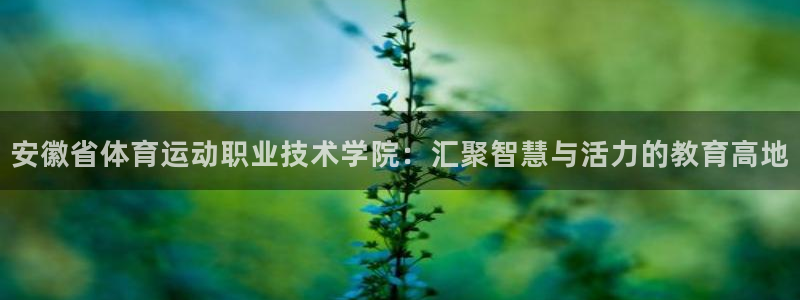 最新欧亿app官方下载安装：安徽省体