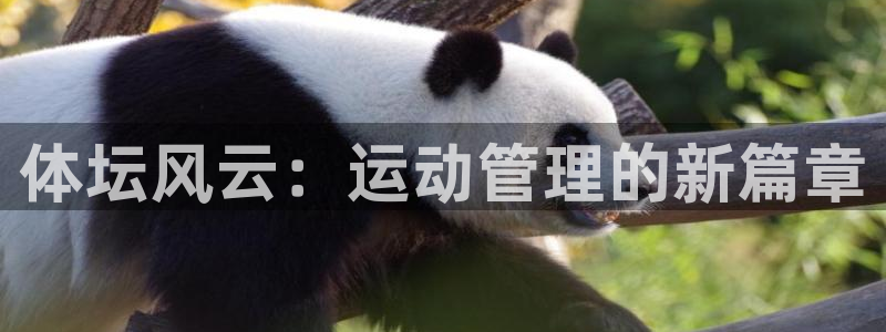  欧亿平台网址：体坛风云：运动管理的新篇章