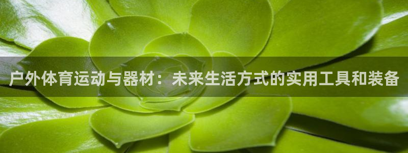 oety欧亿体育官网下载